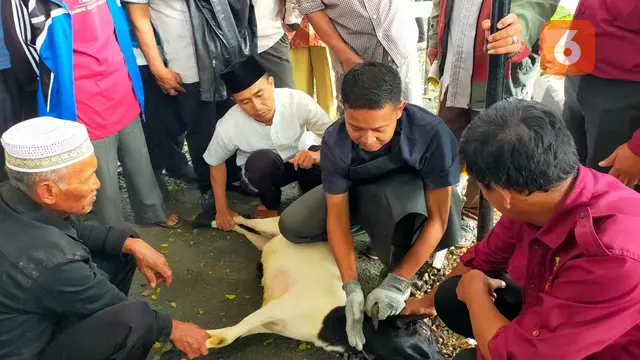 Pelatihan penyembelihan hewan kurban oleh MUI dan DKP3 Kota Sukabumi, dengan pesarta perwakilan Dewan Kemakmuran Masjid (Liputan6.com/Fira Syahrin).