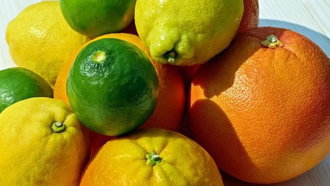 Perbedaan Jeruk Limau, Jeruk Purut, dan Jeruk Nipis