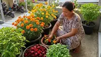 21 Jenis Sayuran Berbunga untuk Teras yang Minim Perawatan