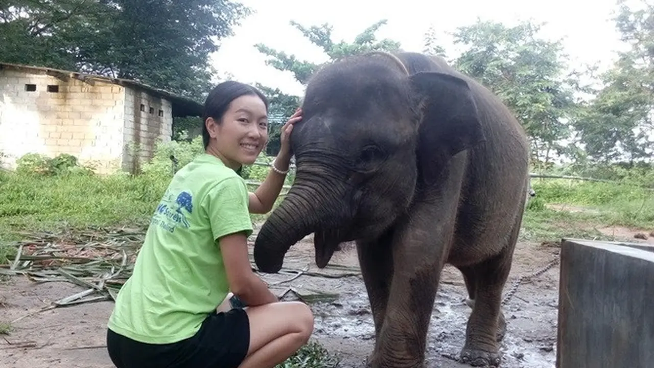 [Bintang] Gajah Erin