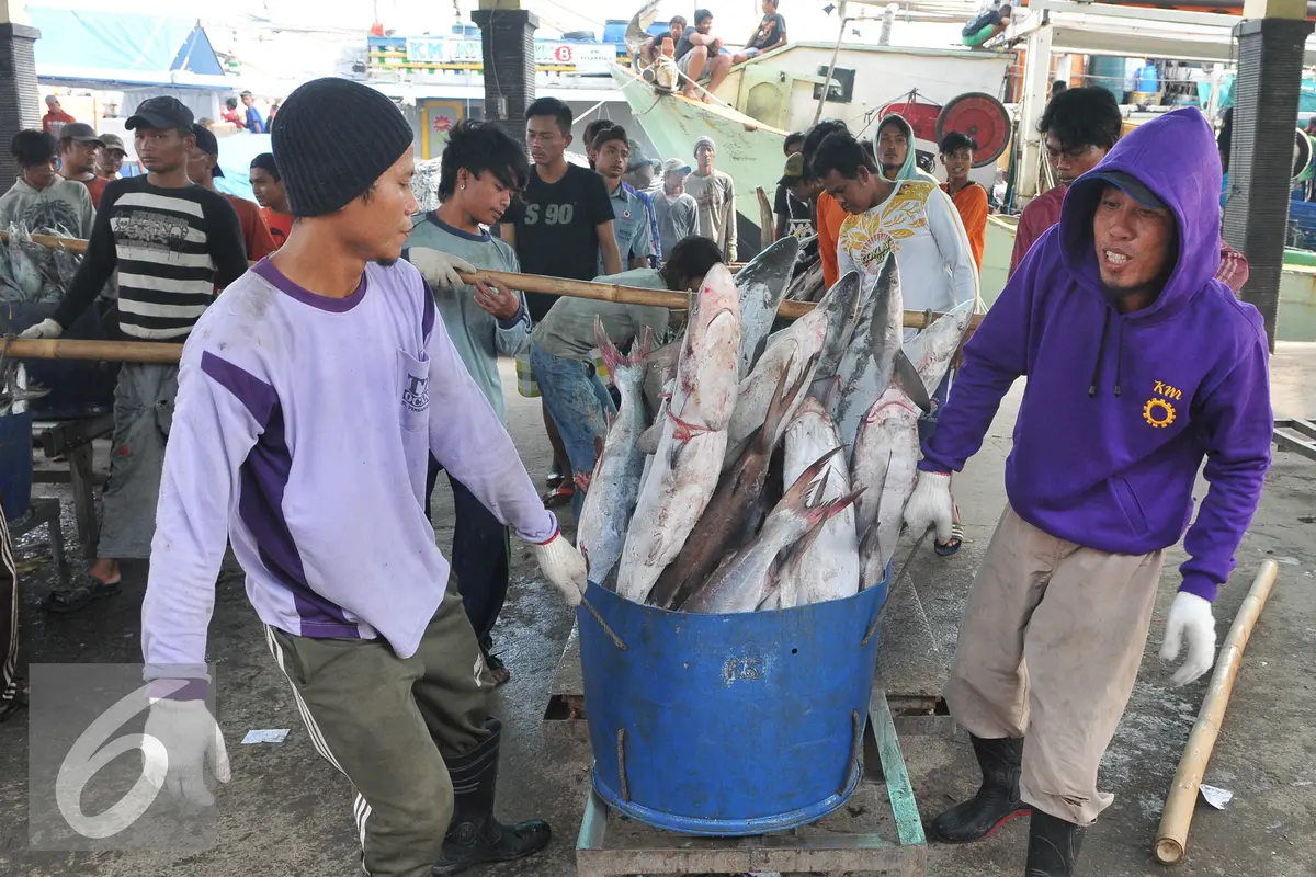 Menurut Menteri Susi, dalam kondisi cuaca buruk, kenaikan harga ikan bisa mencapai Rp 20 ribu.