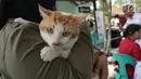 Petugas menyuntikkan vaksin rabies kepada kucing di perumahan Jakarta Timur, Rabu (3/10). Vaksinasi rabies ini gratis bagi warga yang mempunyai hewan peliharaan. (Merdeka.com/Imam Buhori)