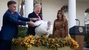 Ibu Negara Melania Trump menyaksikan Presiden Donald Trump memberikan pengampunan kepada kalkun dalam upacara Thanksgiving nasional di Rose Garden Gedung Putih, Selasa (26/11/2019). Ini merupakan tradisi tahunan yang diadakan di Gedung Putih sehari sebelum perayaan Hari Thanksgiving. (AP/Evan Vucci)