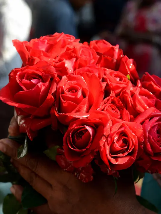 Bunga mawar terlihat di pasar bunga grosir di Kolkata, India (7/20). Jelang perayaan hari Valentine, bunga mawar banyak diburu dari tanggal 7 Februari dengan ditandai dengan Rose Day. (AFP Photo/Dibyangshu Sarkar)