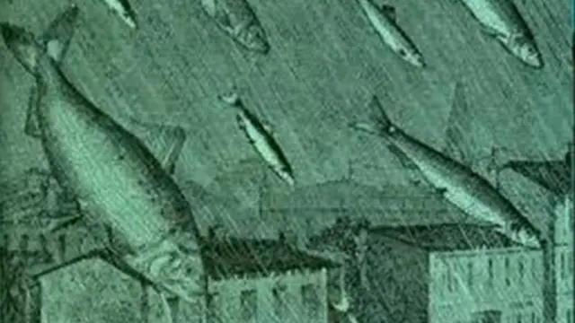 Fenomena Cuaca Langka Aneh, dari Hujan Kodok Hingga Tornado Api