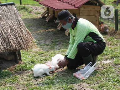 Pekerja merawat satwa di dalam kawasan Taman Jalur Hijau Kosambi, Jakarta Barat, Sabtu (8/1/2022). Di taman ini bukan hanya ruang terbuka hijau yang sangat bagus untuk berswafoto tetapi juga terdapat berbagai macam hewan untuk mengedukasi anak-anak yang datang berkunjung. (Liputan6.com/Angga Yuniar)