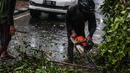 Petugas Dinas Kebersihan dan Pertamanan memotong pohon yang tumbang akibat hujan deras di kawasan jalan Sutan Syahrir, Jakarta, Kamis (22/11). Tumbangnya pohon tersebut disebabkan hujan deras yang melanda Jakarta siang tadi. (Liputan6.com/Faizal Fanani)