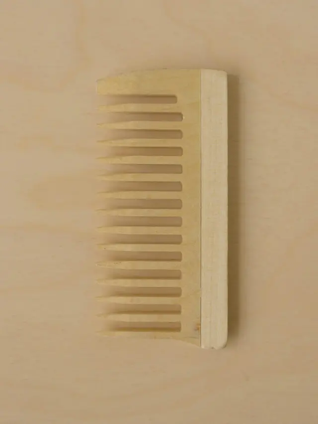 Jenis Sisir dan Kegunaannya