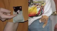 Potret 6 Anak Kucing Masuk Saku Kantong Baju dan Celana Ini Bikin Gemas
