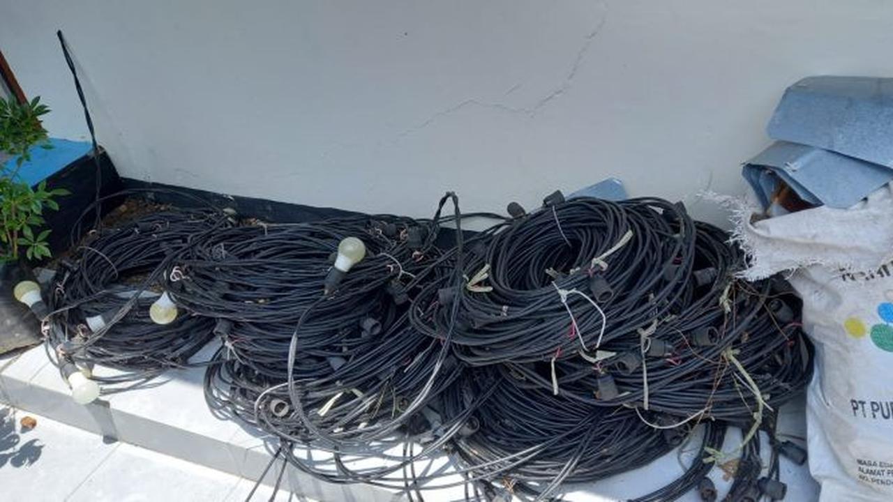 Barang  bukti kabel dan lampu  di kebun buah naga yang berhasil disita dari tangan pelaku pencurian Kebal (Istimewa)