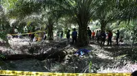 Mayat HP (47) seorang petani ditemukan meninggal dunia di kebun sawit di Desa Tikke, Kecamatan Tikke Raya, Kabupaten Pasangkayu