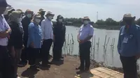 Potensi Hutan Mangrove Indonesia Sumbang Karbon Kredit 80 Persen Dunia