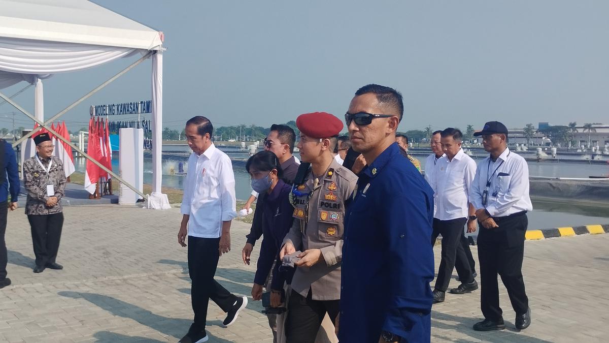 Jokowi Resmikan Modeling Budidaya Ikan Nila Salin, Telan Biaya Rp 76 Miliar Berita Viral Hari Ini Senin 20 Mei 2024