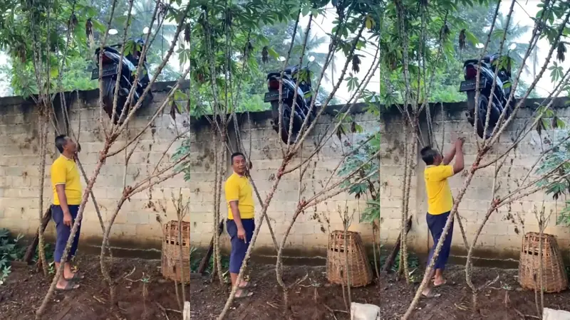 Motor Warga Lampung Timur Tersangkut di Tembok