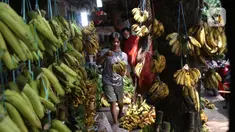 Aktivitas jual beli pisang di Pasar Lembang, Tangerang, Sabtu (3/10/2020). Pandemi Covid-19 berdamak pada permintaan pisang di pasar tersebut yang mengalami penurunan. (Liputan6.com/Angga Yuniar)
