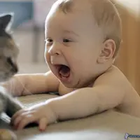 Inilah video yang memperlihatkan tingkah lucu kucing saat merawat para bayi. 