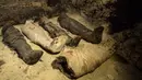 Mumi terbungkus kain linen ditemukan di ruang pemakaman di Provinsi Minya, Mesir, Sabtu (2/2). Menurut Kementerian Barang Antik Mesir, kompleks pemakaman tersebut kemungkinan adalah milik sebuah keluarga elite. (AP Photo/Roger Anis)