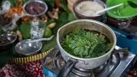 Bagaimana Cara Mengolah Daun Kelor untuk Asam Urat? Ini Langkah dan Manfaatnya