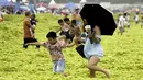 Pengunjung tampak asyik bermain di pantai yang tertutup ribuan ton ganggang di Qingdao, Provinsi Shandong, China, 19 Juli 2015. Fenomena alam yang ekstrem ini memang sudah menjadi agenda tahunan sejak 2007 silam di pantai tersebut. (REUTERS/Stringer)