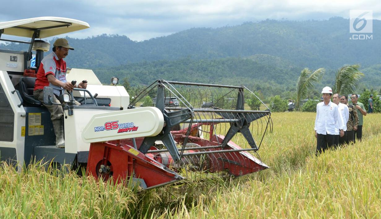 Presiden Jokowi bersama rombongan melihat alat pengolah padi saat meninjau irigasi di Desa Waimital, Kecamatan Kairatu, Kabupaten Seram Bagian Barat (14/2). (Liputan6.com/Pool/Biro Pers Setpres)