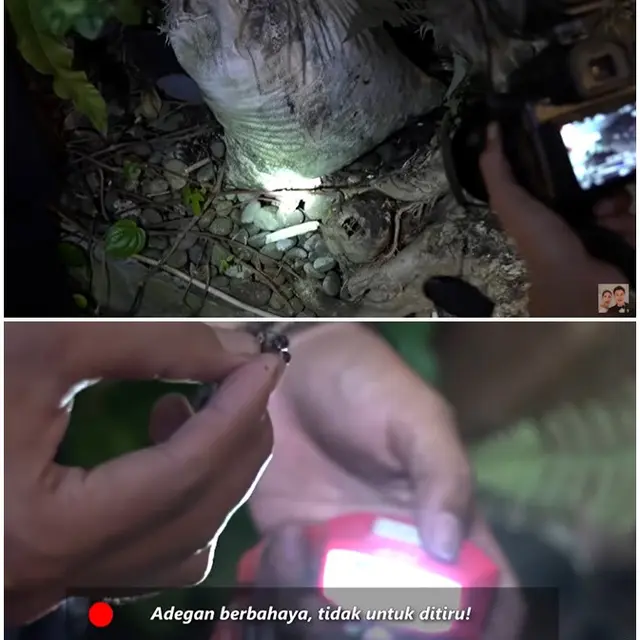7 Momen Panji Petualang Temukan Sarang Ular di Rumah Baim Wong, Bikin Merinding