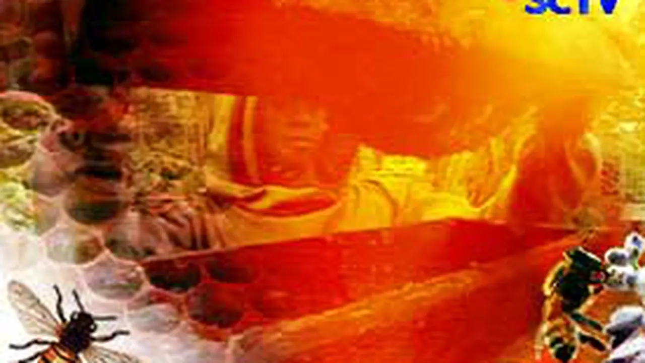 080503bpotret.jpg