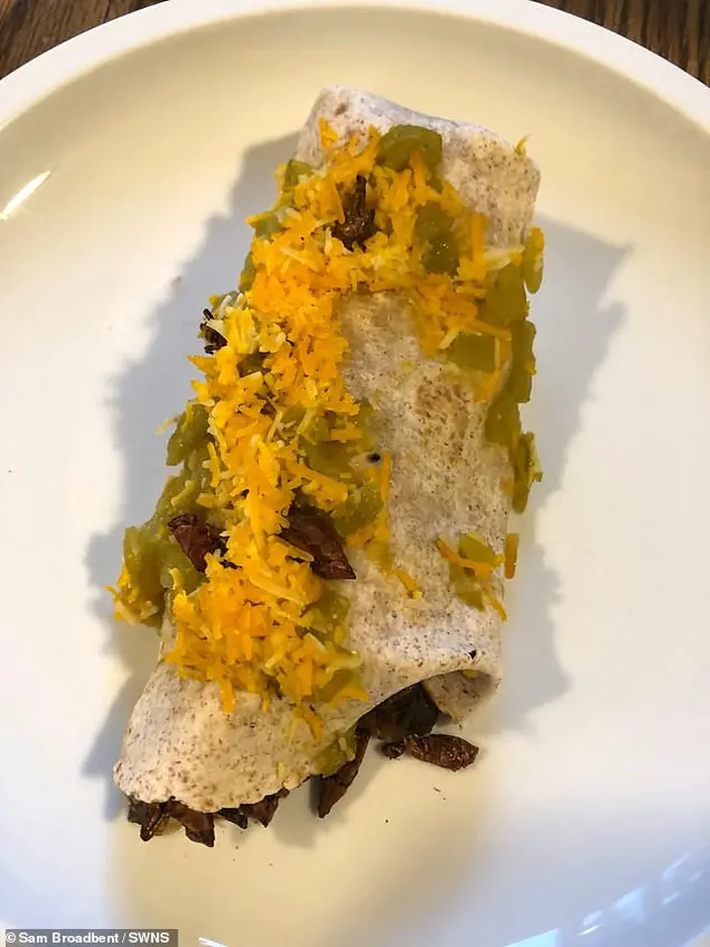 makan serangga demi kekar