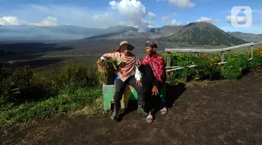 Warga merawat tanaman daun bawang yang dapat dipanen setahun tujuh kali di kebun dengan latar belakang Gunung Bromo di Seruni Point, Pasuruan, Jawa Timur, Minggu (30/4/2023). (merdeka.com/Arie Basuki)