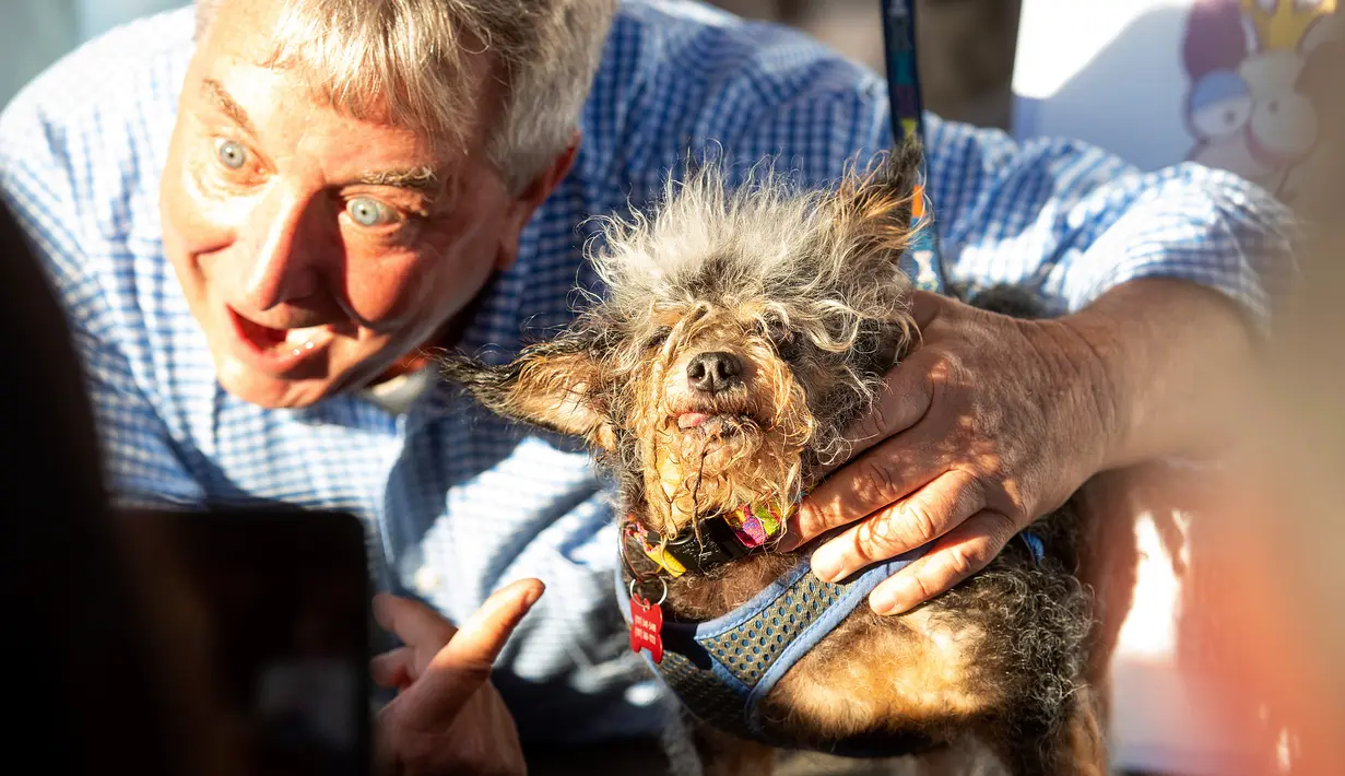 Scamp the Tramp dinobatkan sebagai pemenang kontes Anjing Terjelek di Dunia atau World's Ugliest Dog di Petaluma, California, AS pada 21 Juni 2019. Tramp berhak mendapatkan trofi dan juga uang senilai US$1.500 (sekitar Rp21 juta) untuk kemudian disumbangkan ke penampungan binatang. (AP/Noah Berger)