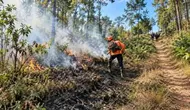 Kebakaran Bromo Dekati Permukiman, Petugas Buat Sekat Bakar