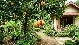 8 Cara Menanam Pala dari Biji untuk Pemula Agar Cepat Berbuah, Cocok Iklim Tropis