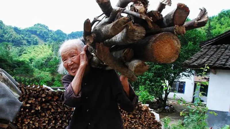 Kisah Haru, Nenek Renta Naik Turun Bukit Sambil Gendong Kayu Bakar