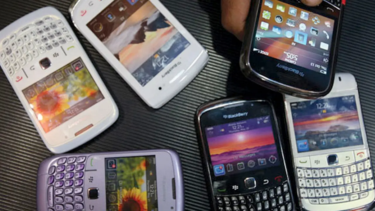 black-berry-131220b.jpg