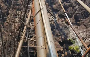 Imbas Kebakaran Hutan Gunung Arjuno-Welirang, Pasuruan Krisis Air Bersih