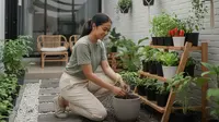 Baru Belajar Berkebun? Ini 9 Sayuran Paling Mudah Hidup dan Cepat Dipanen