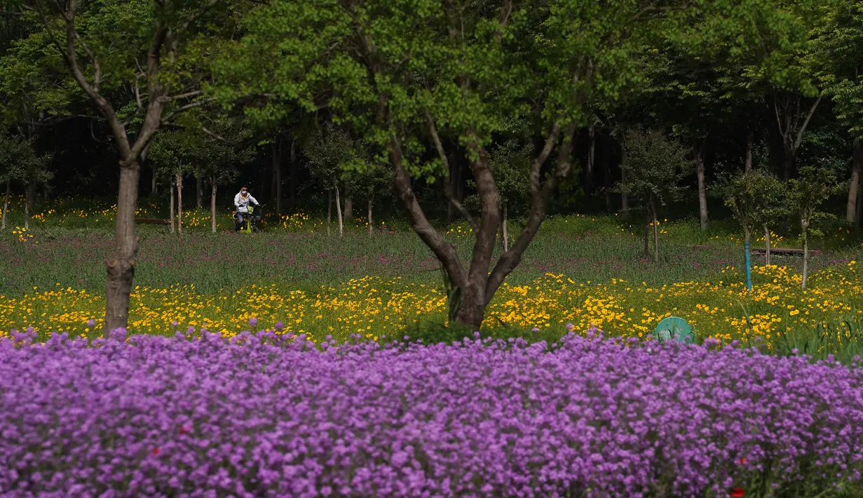 Foto yang diabadikan pada 13 Mei 2020 ini memperlihatkan bunga-bunga yang bermekaran di Taman Hutan Gunung San Tai di Kota Suqian, Provinsi Jiangsu, China timur. (Xinhua/Han Yuqing)