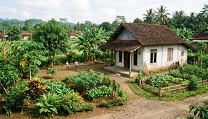 Desain Rumah 1 Lantai Atap Genteng Budget Rp50 Juta di Desa (Foto: Gemini AI)