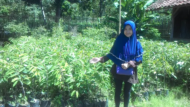 Silfia Nurmayasari, salah satu pengelola kampung duren Kuyambut. menunjukan ribuan bibir durian siap tanam di area kampung durian