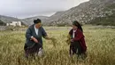 Peran perempuan di Olympos semakin diperkuat pada tahun 1950-an ketika para pria desa mulai beremigrasi untuk bekerja - terutama ke Amerika Serikat dan negara-negara Eropa - meninggalkan istri dan anak perempuan mereka untuk mengurus keluarga dan pertanian mereka sendiri. (Louisa GOULIAMAKI / AFP)