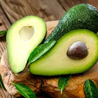 ilustrasi kegunaan daun alpukat/KarepaStock/shutterstock