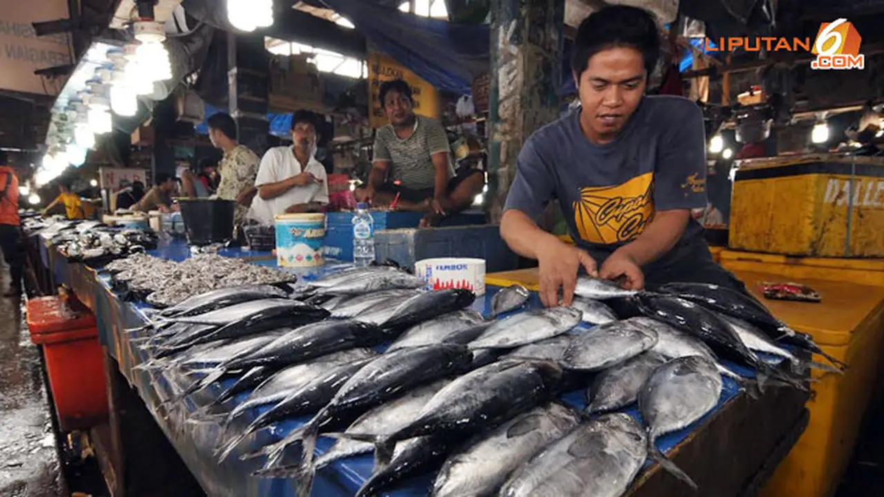 harga-ikan-palu-140122c.jpg