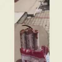 Pengalaman buruk dialami oleh seorang perempuan yang menemukan ekor tikus di dalam es krim yang tengah dimakannya. Inilah cerita selengkapnya. (Foto: Online Photo)