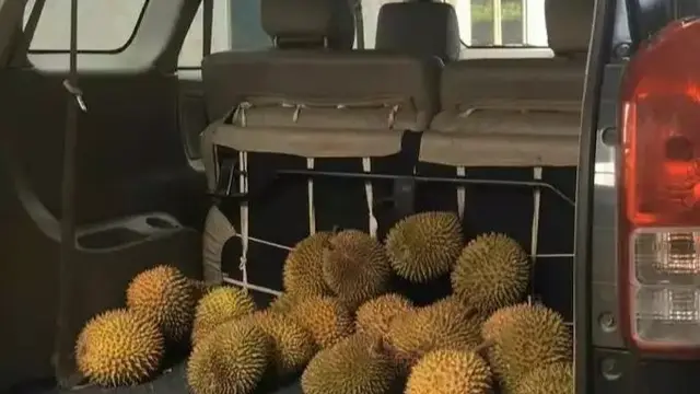 Kumpulan Potret Penyalahgunaan Mobil, Dijamin Bikin Hati Tersayat (ist)