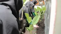 SMP IT Al-Mashduqi Garut Sukses Sabet Penghargaan Adiwiyata 2022 Pemerintah