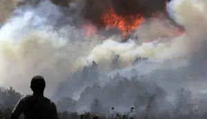 Kebakaran Hutan Ancam Kota Wisata Villa de Leyva di Kolombia