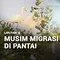 Musim Migrasi Burung di Pantai
