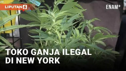 VIDEO: Tiga Tahun Legalisasi Ganja, Kota New York Kebanjiran Toko Ilegal