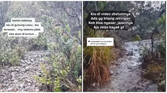Video Pendaki Dipandu Burung Jalak saat Tersesat di Gunung Lawu Ini Jadi Sorotan (sumber: TikTok/mocha_doank)