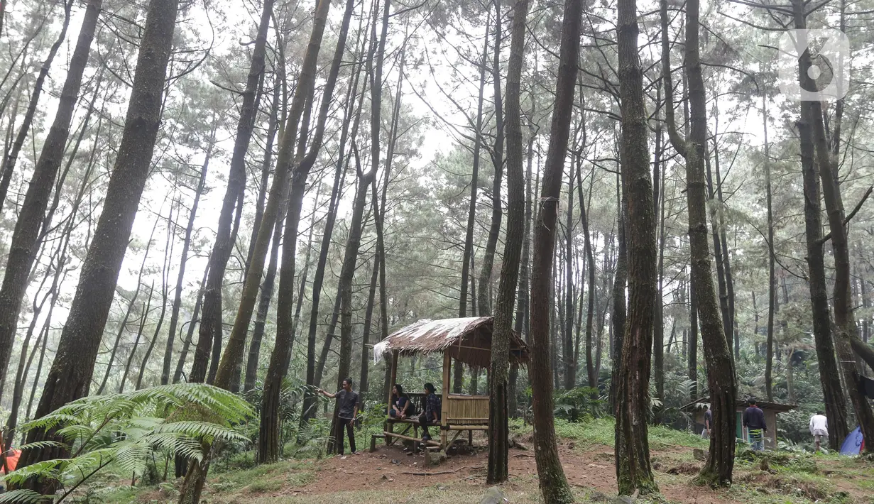 Pengunjung menikmati suasana di lokasi perkemahan Curug Hiji, Bogor, Minggu (5/9/2021). Meski Kabupaten Bogor masih dalam masa PPKM level 3, sejumlah lokasi wisata luar ruangan mulai ramai dikunjungi pengunjung. (Liputan6.com/Helmi Fithriansyah)