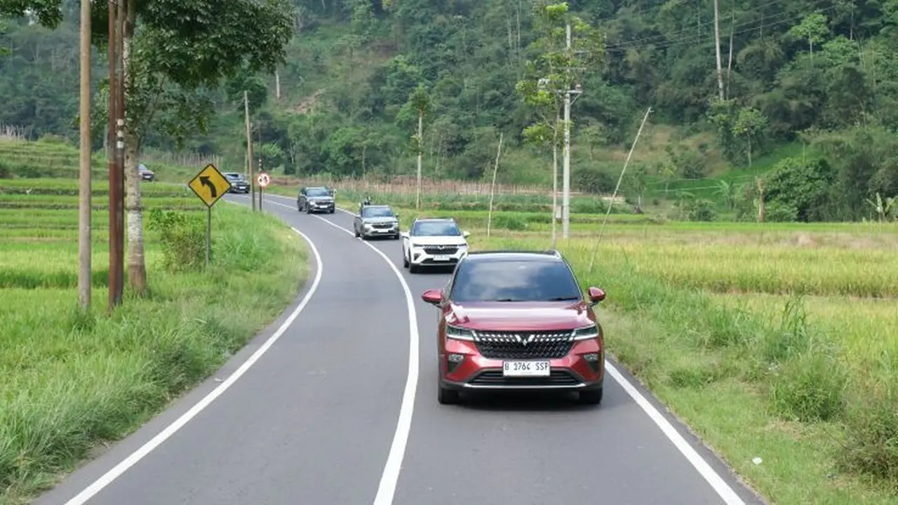 Wuling Alvez